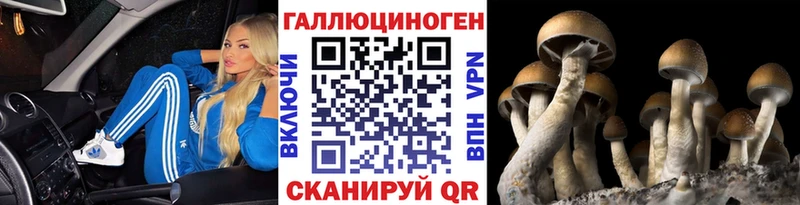 Псилоцибиновые грибы Psilocybine cubensis купить наркотик Рудня